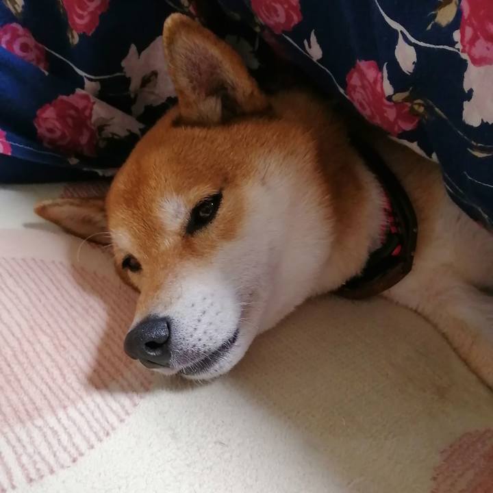 6b7de9be 34d4 4da7 b0c5 5fa81d8da948 1639060405939