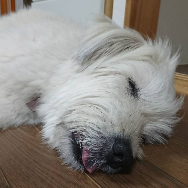 6b7e13dd b092 4f3b bb98 908477119757 1569757364437