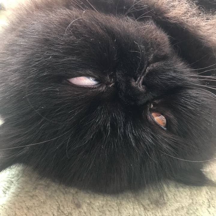 6b7e1a98 8500 47b7 94f8 b3c083646854 1605362471542