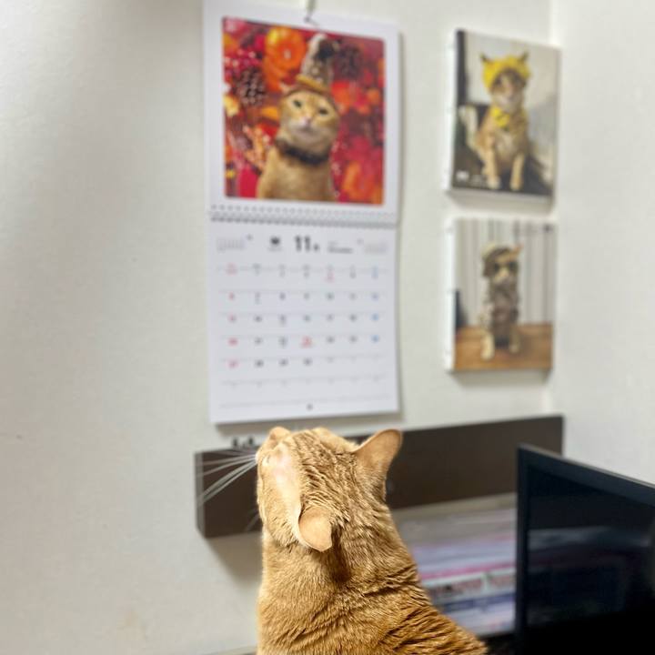 6b7e4003 92e2 4953 a9c5 bbda8b3b1925 1667252104330