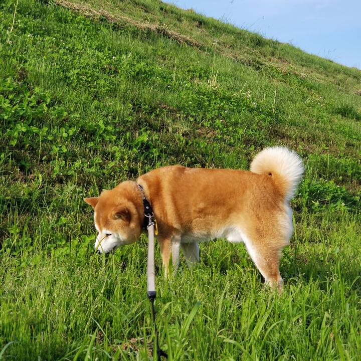 6b7e4063 afc3 4406 a850 64d94dc7f974 1622188807555