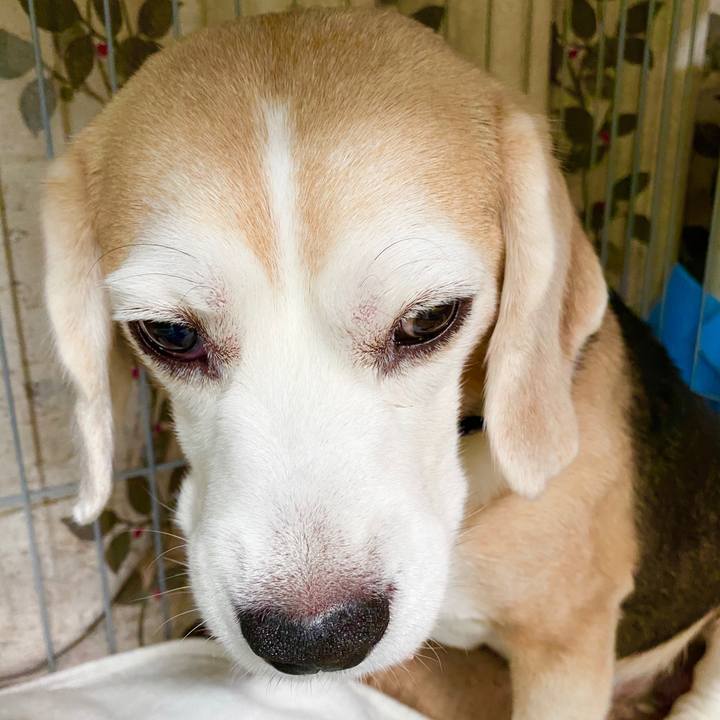 6b7e5cf4 ee59 468a a012 3e9e82e3a68e 1589859148466