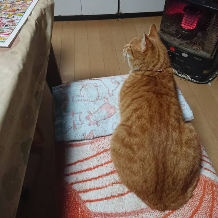 6b7e7334 e791 4e3f 97de 7875a407466d 1603749643628