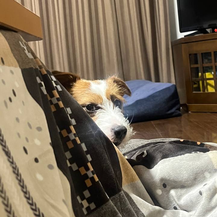 6b7e74c0 05ef 4ca8 8e3a 3f2bdeae9a5b 1771162716591