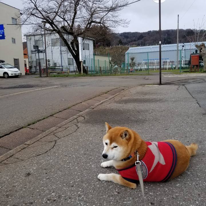 6b7e8a69 fd96 4194 9856 f829c78ca993 1554973653691