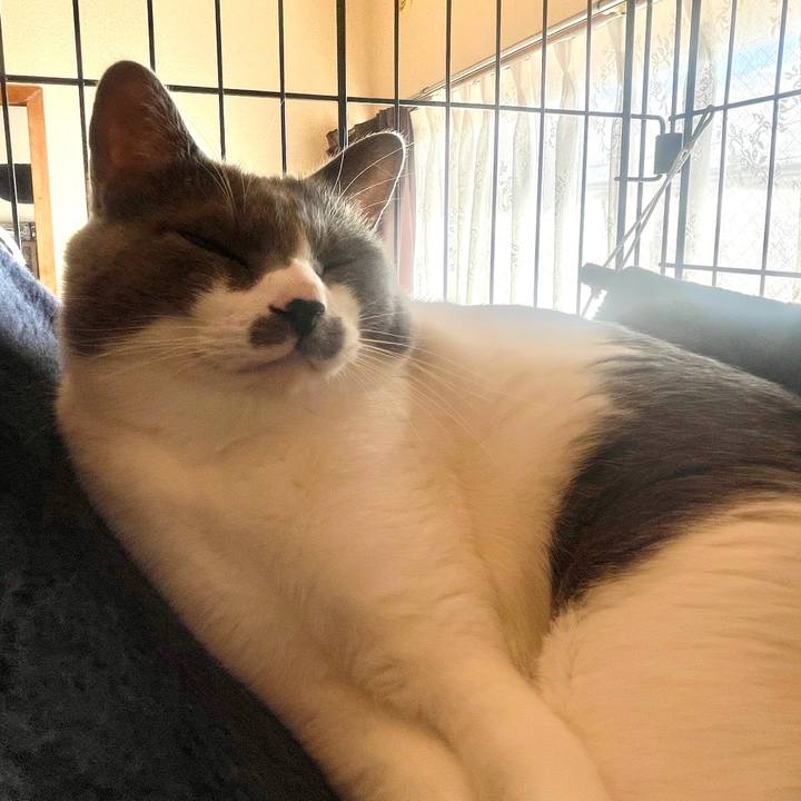 6b7ea6eb 8646 4cba 8f94 4464243c4484 1640487066186