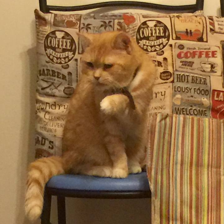 6b7ec20d 3a8f 4b4b 8fb0 b91fa7fc78a7 1559139861408