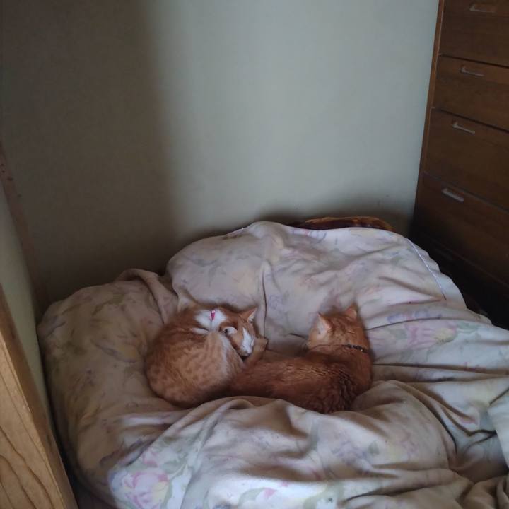 6b7ee525 096f 45e1 bc84 5bfaa4f27219 1742173859929