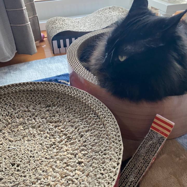 6b7f1fcc c595 4775 9175 3c8d79888bad 1581409679361