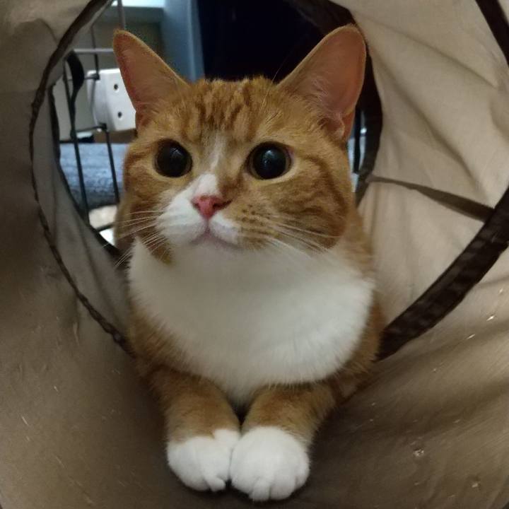 6b7f2e01 31c7 4f91 912e dadfc1e79852 1658928846650