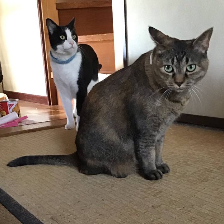 6b7f56ce 6250 42bd b54b c503af1f6535 1747213876287