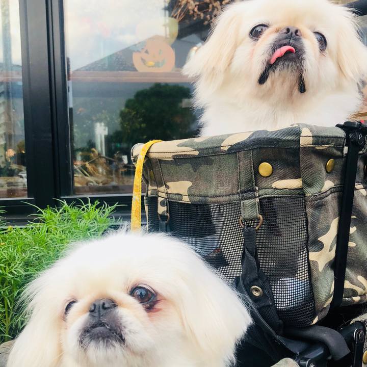 6b7f6ed0 5e22 4a90 ac3c 9875c921f190 1600638677246