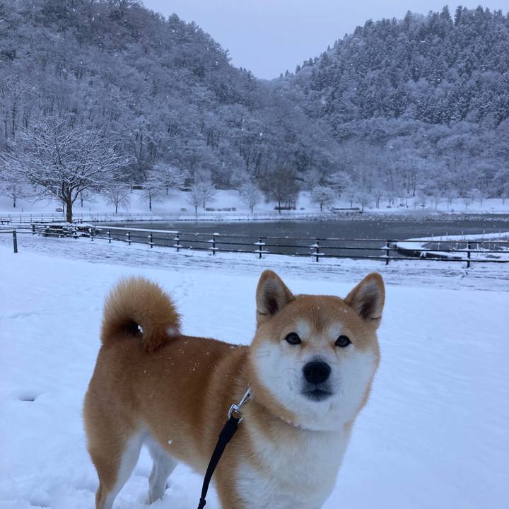 6b7fb9cc ab4c 415d 9bb9 ed9ecb389b20 1702896206451