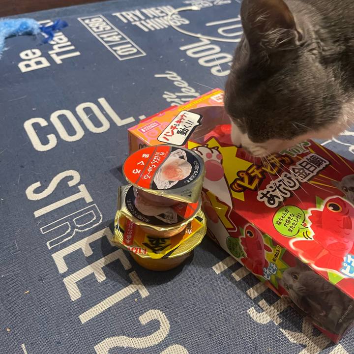 6b7fe405 9926 4500 98d3 58a165419bca 1716457365234