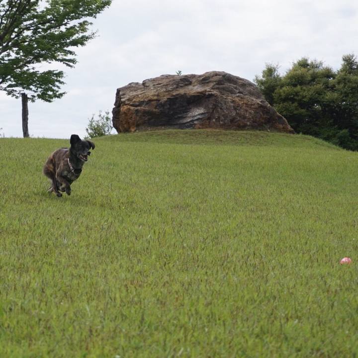 6b802d0e cf5d 4fb9 a616 e8ce4a9d833c 1529245497827