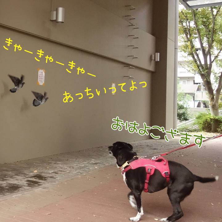 6b803657 8d65 415a a074 2fa188294b60 1700008817614