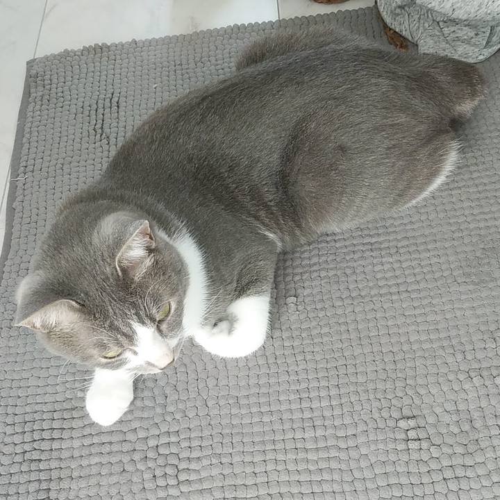 6b8054b0 5b2d 4d55 a9e8 80be34340e94 1622622913835