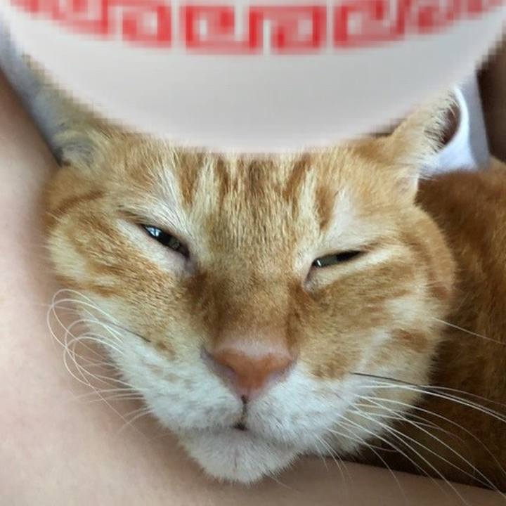 6b8083bf 978b 4191 9e82 caa882f332f9 1722156755443