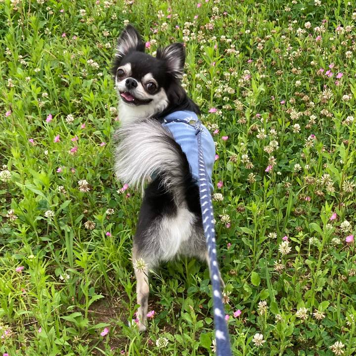 6b809ba8 08b2 446f b38c dafee09ef6ad 1653052708844