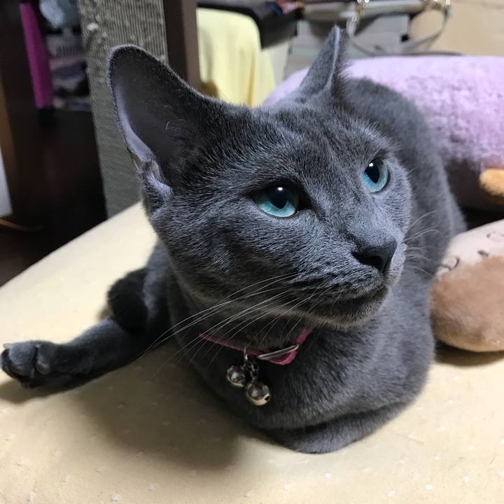 6b80c215 7730 4b55 a5cb 6e97c71d35aa 1536811955008