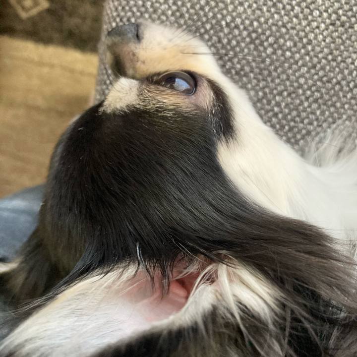 6b810b9a b938 46c3 b87a f24c9a2c4197 1613279441393