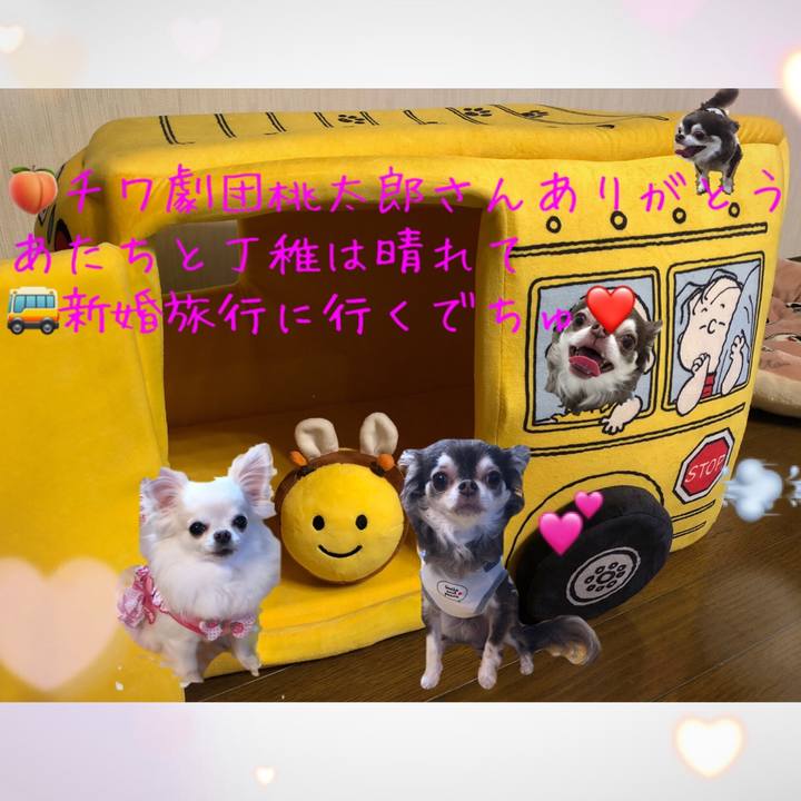 6b811ce3 3909 405c a06c 8abff4d3e394 1594308042058