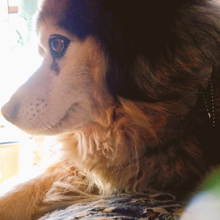 6b81220f ee64 4d34 8532 238e06bde2f0 1605676265440