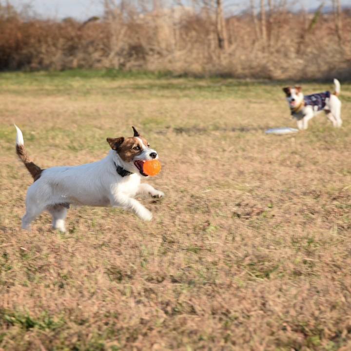 6b8164b6 4113 46b4 ab1b c1f07544ec62 1512914810111