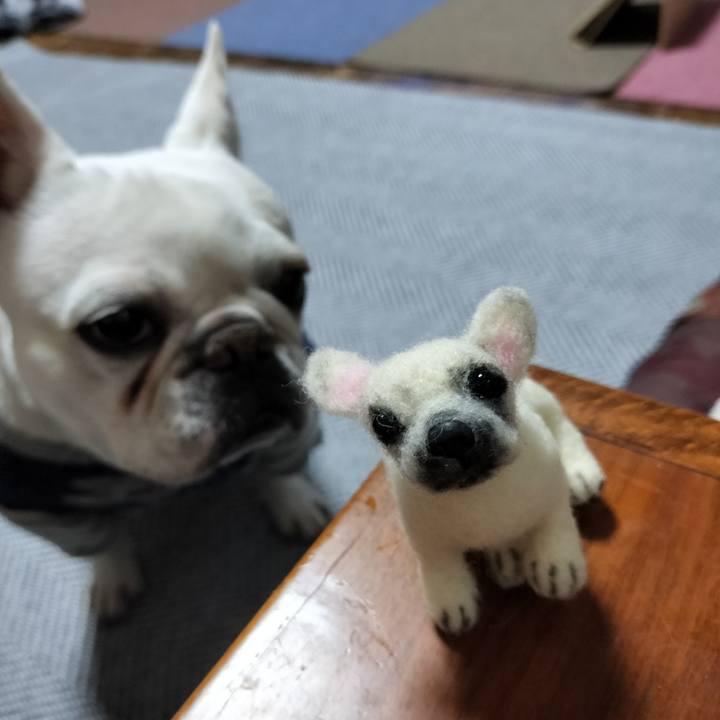 6b81a526 c5d6 443a bd32 8067b5211f06 1674254870270