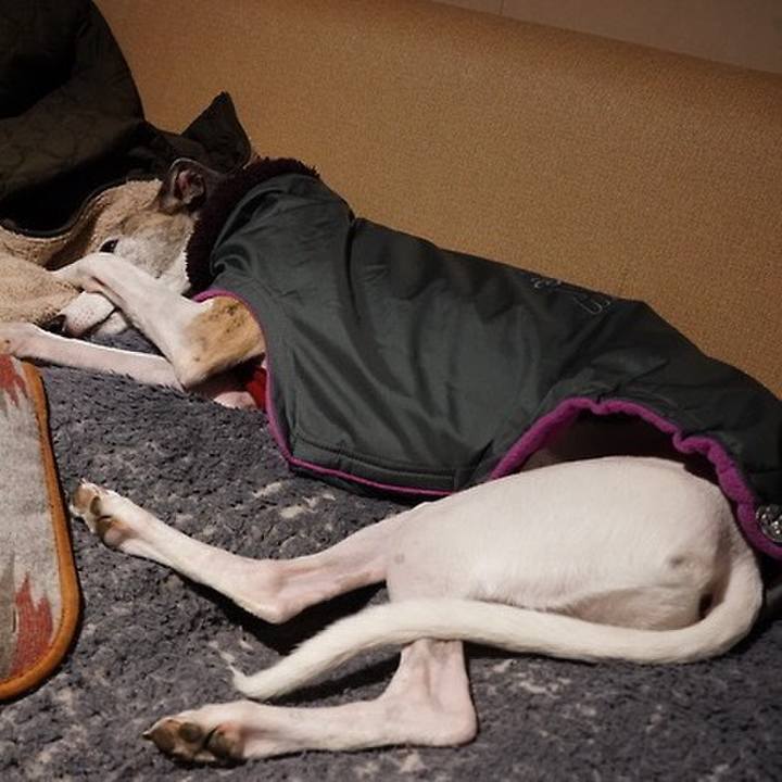 6b81d132 b028 4691 99e2 7a4c6c4e1959 1544793140575