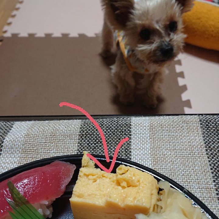 6b81e1e9 6de2 4b31 9939 2d41f73916b5 1578808899125