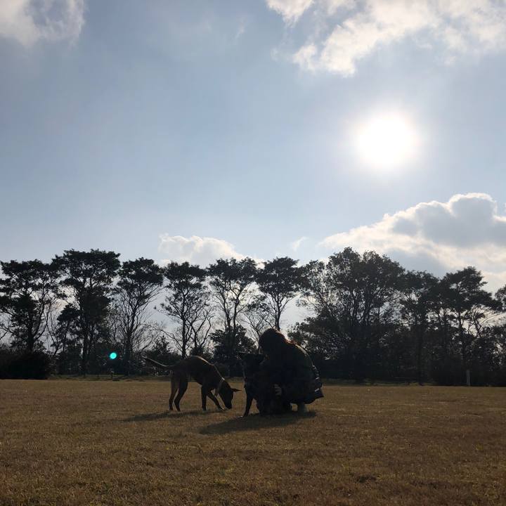 6b822254 1c35 4a65 aa42 2df6d557d43a 1581002797215