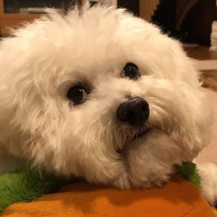 6b823901 5624 4cdb 88b9 f87ae63d6150 1544011941363