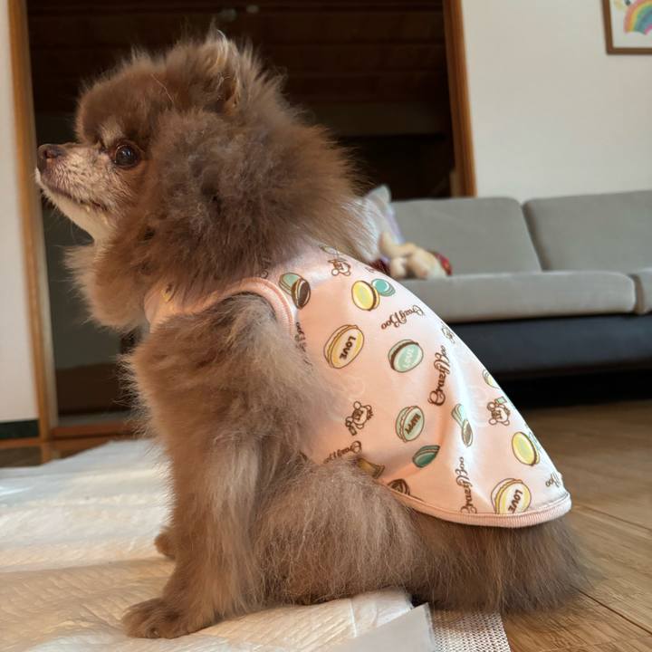 6b82477f d57c 4bd1 af1e 197380cb2266 1770849846964