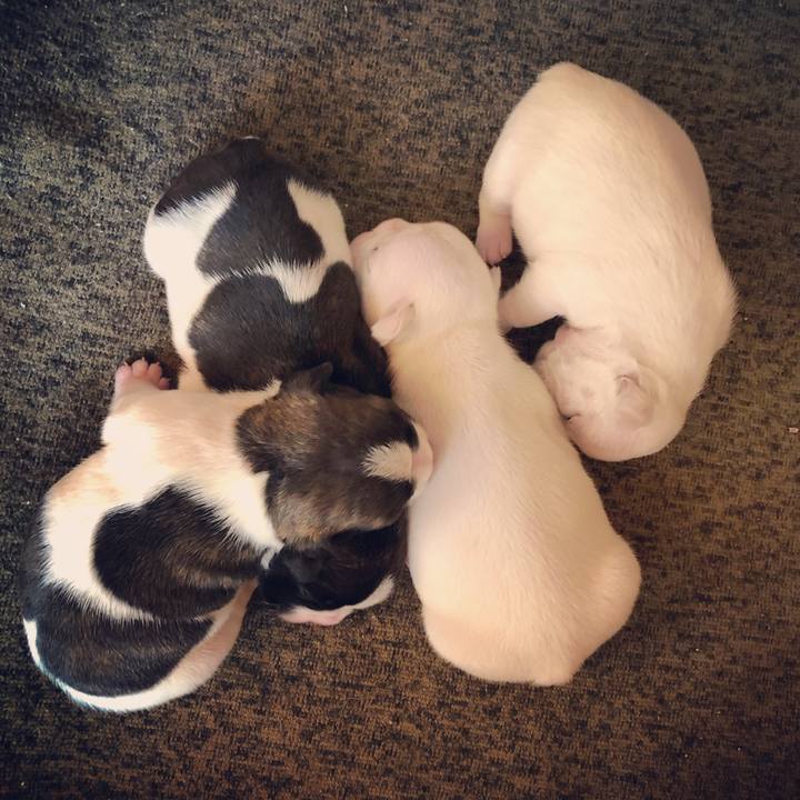 6b827406 fb9f 4865 8c3d c9097bf9ceec 1591456393385