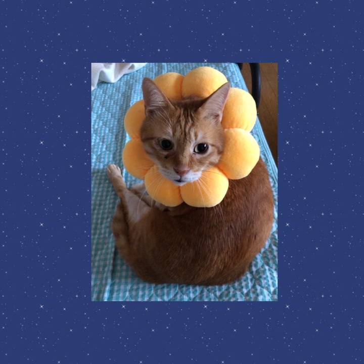 6b827d01 8e80 4ce5 a000 3da0a2ae1f7b 1658955981628