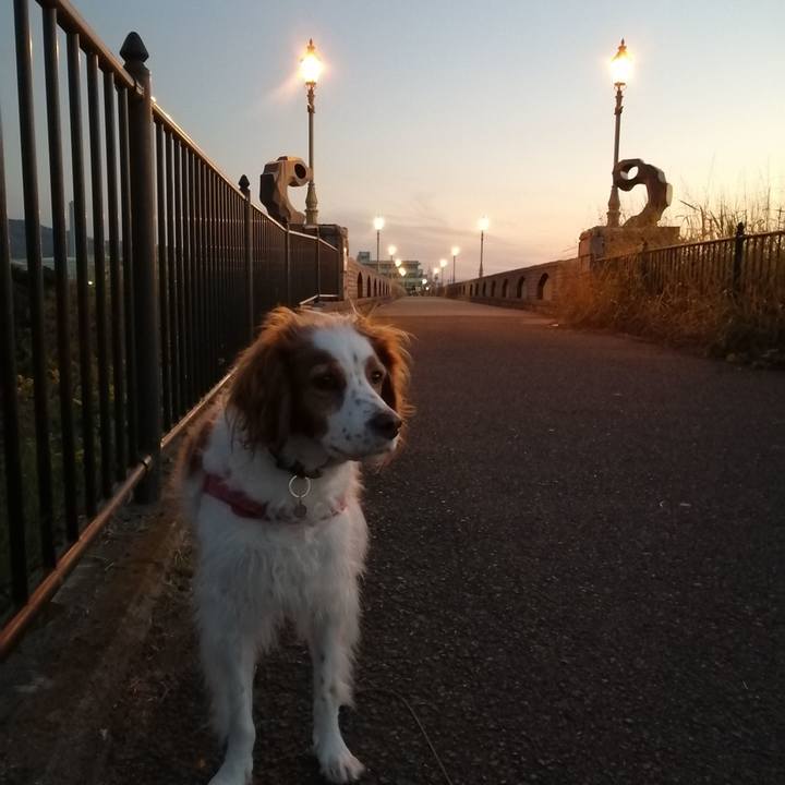 6b82b0da de1a 41eb a92f 99987be08438 1607858304688