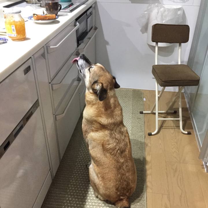 6b82d2ab 505f 45e5 8859 b1059ce31624 1548463098415