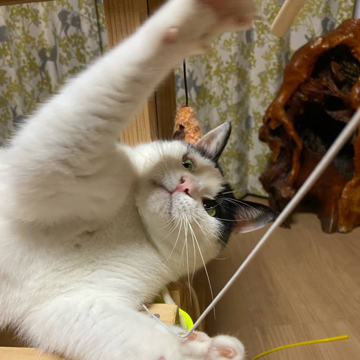 6b833e2c 994d 451a aac8 91e3c6a27f4e 1593429071833