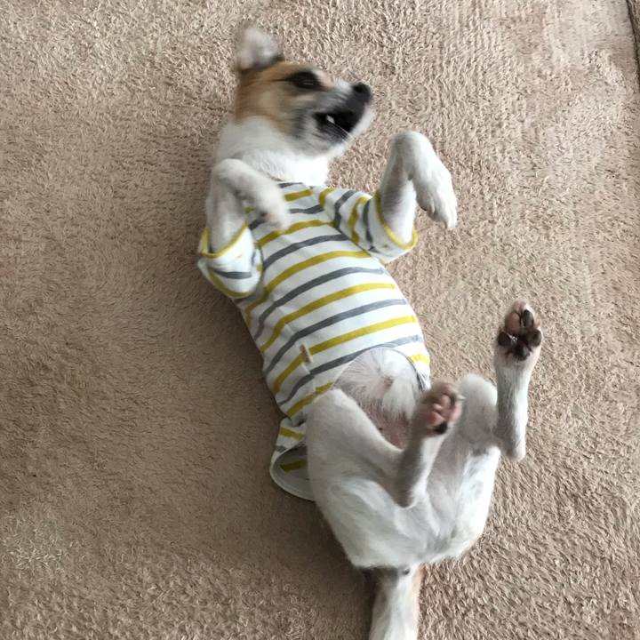 6b835756 95e7 49f9 8813 735eb9fb8af0 1552211845138