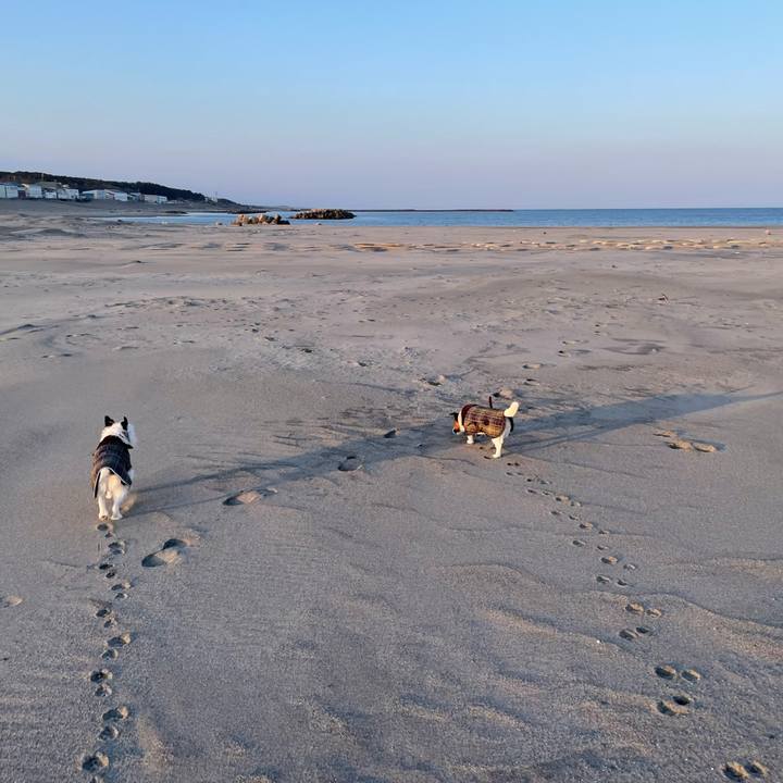 6b83707a fdff 4596 9403 cdc3bd21c735 1771113792457