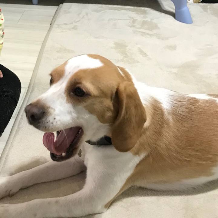 6b83d181 6c49 43a4 a346 36a73a855208 1623694202293