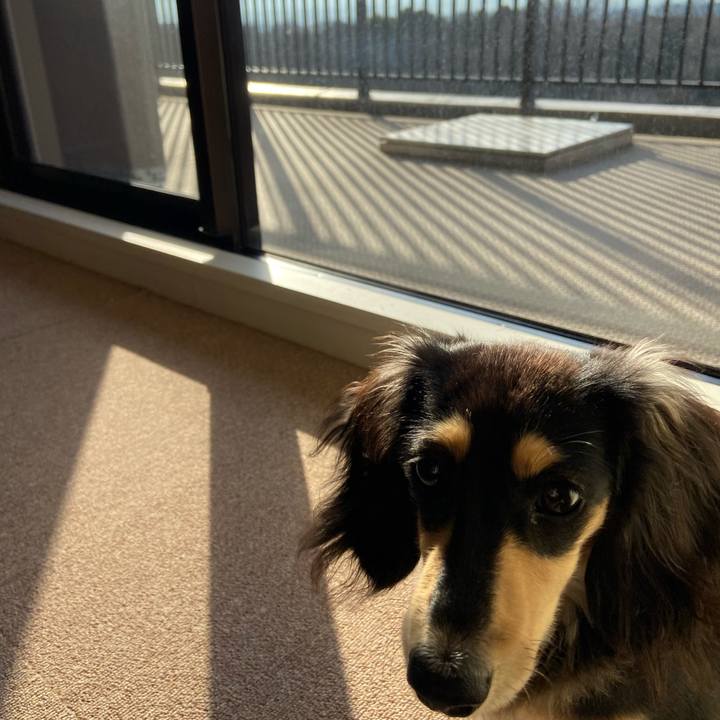 6b83ee99 7acc 4254 b9a6 07f4848199c5 1675726117421