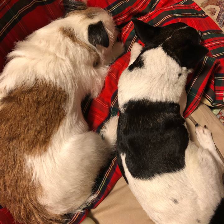 6b83ef55 15d4 4294 897f 3299dbeb91db 1548850586872