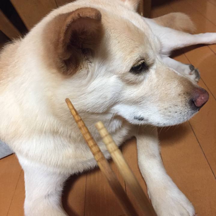 6b8434d0 1f62 4e20 a14a 1d71814fa249 1523884024475