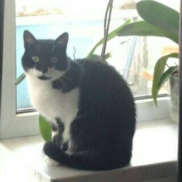 6b8459d1 7a68 4301 b6fd d33b781be39a 1554829444923