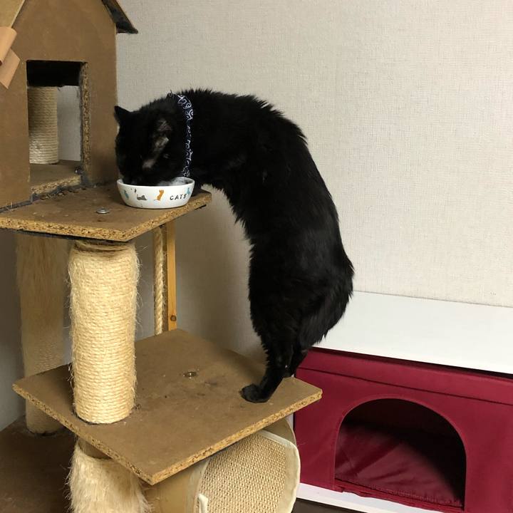 6b846351 81a0 44d3 8990 02ba8924d5b7 1580810710461