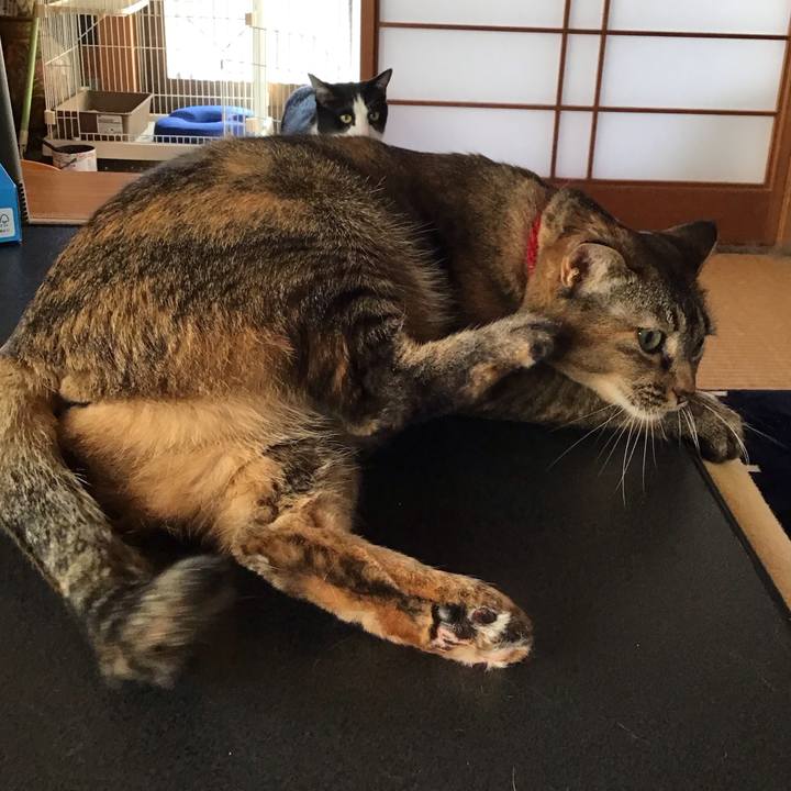 6b849540 1cc6 4b32 847a 2fb23c3a1527 1707694376252