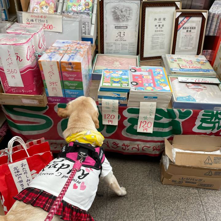 6b84b236 e663 4ef9 99f2 2c214de4d08f 1650074951082