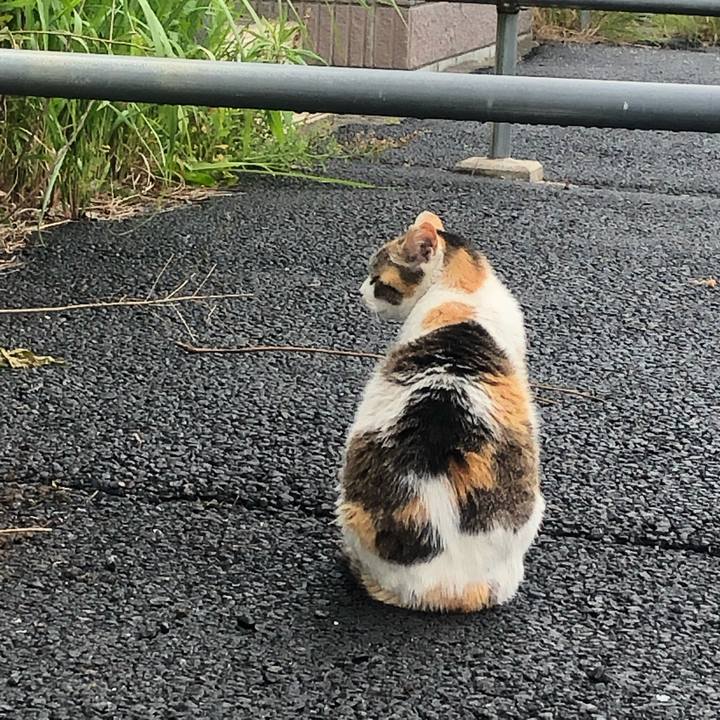 6b84be43 7868 45cd 99e0 ef6cc56e3abb 1656521026060